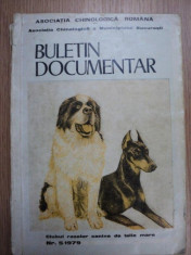 BULETIN DOCUMENTAR foto