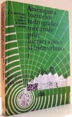 AMENAJAREA BAZINELOR HIDROGRAFICE TORENTIALE PRIN LUCRARI SILVICE SI HIDROTEHNICE de S.A. MUNTEANU foto