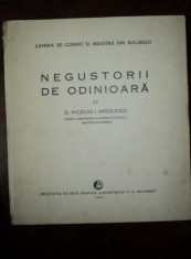 NEGUSTORII DE ODINIOARA, NICOLAE ANGELESCU, BUCURESTI, 1931 foto