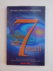 CELE 7 PECETI de OVIDIU-DRAGOS ARGESANU , 2007 foto