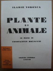 PLANTE SI ANIMALE CU DESENE DE CONSTANTIN BRANCUSI- ILARIE VORONCA -1929- EDITIE ANASTATICA foto