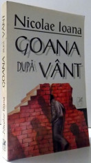 GOANA DUPA VANT de NICOLAE IOANA , 1999 foto