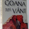 GOANA DUPA VANT de NICOLAE IOANA , 1999