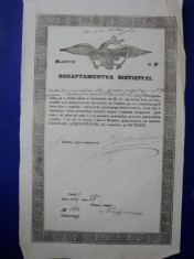 Prahova, Departamentul Vistieriei, Patent de negustor pentru Constantin Hristodor 1854 foto