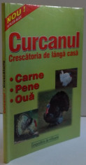 CURCANUL , CRESCATORIA DE LANGA CASA , 2012 foto