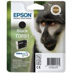 Epson Cartus T0891 Black foto