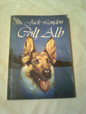 COLT ALB ~ JACK LONDON foto