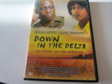 Down in the delta, DVD, Altele