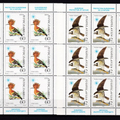 Iugoslavia 1985 fauna pasari MI 2100-2101 kleib. MNH w48