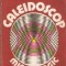 Rodica Apostolescu - Caleidoscop mineralogic