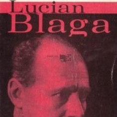 Mircea Vaida - Pe urmele lui Lucian Blaga