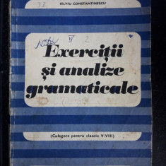 Exercitii Si Analize Gramaticale CLASELE V-VIII ,Silviu Constantinescu