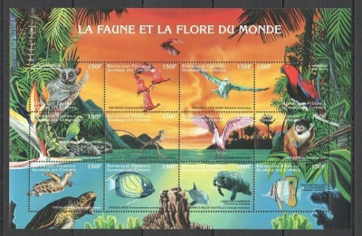 COMORES 1999 FAUNA MARINA foto