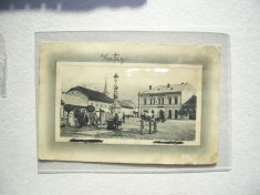 Hateg Pita Regele Ferdinand cca.1912 foto