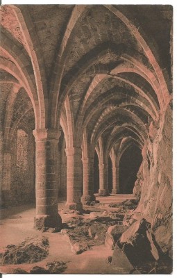 (A) carte postala(ilustrata)-FRANTA-Chateaude Chillon foto
