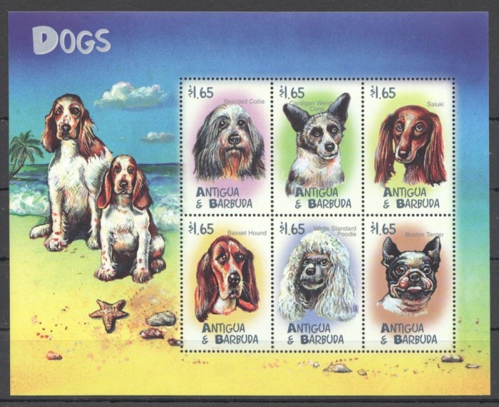 ANTIGUA 2000 FAUNA DOMESTICA CAINI