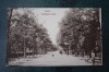 AKVDE18 Carte postala Braila - Alee, Circulata, Printata