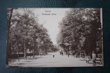 AKVDE18 Carte postala Braila - Alee, Circulata, Printata