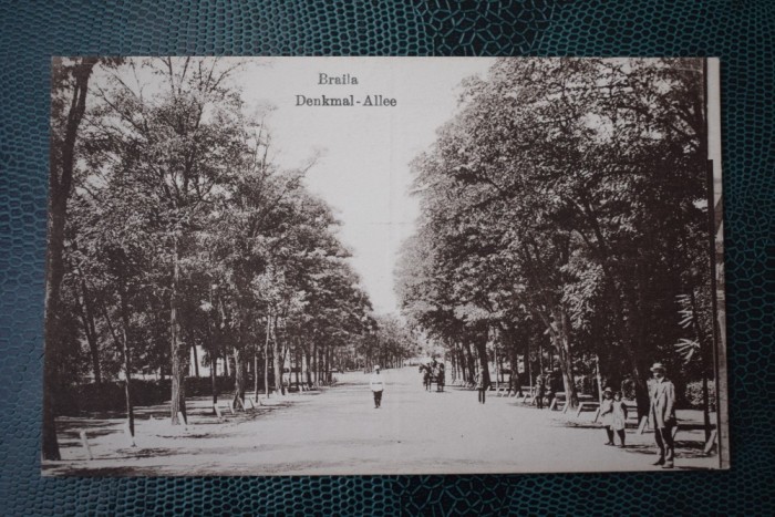 AKVDE18 Carte postala Braila - Alee