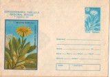 IP 9902 INTREG POSTAL: SEMIVENTENAR PARCUL NATIONAL RETEZAT 1985 SENECIO GLABERR