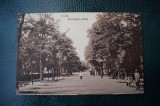 AKVDE18 - Carte postala - Braila - Aleea, Circulata, Printata