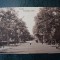 AKVDE18 - Carte postala - Braila - Aleea