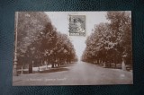 AKVDE18 - Carte postala - Bucuresti - Soseaua Kiseleff