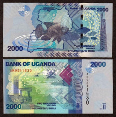 UGANDA. 2000 SHILLINGS 2010. AUNC. foto