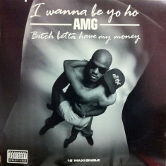 AMG - Bitch Betta Have My Money / I Wanna... 1993 disc vinil Maxi Single Hip Hop foto