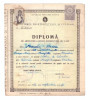 Diploma de absolvire a scolii elementare de 7 clase, 1950/51