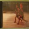 PAUL SIMON - The Rhythm Of The Saints - C D Original ca NOU