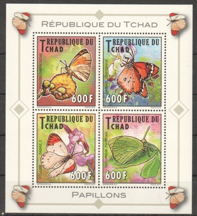 CHAD 2012 FLUTURI