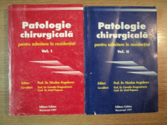 PATOLOGIE CHIRURGICALA PENTRU ADMITERE IN REZIDENTIAT VOL. I - II de PROF.DR. NICOLAE ANGELESCU foto