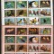 UMM AL QIWAIN MI.1242-1257 A+B MNH