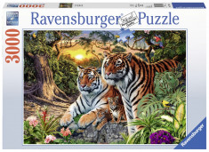Puzzle Tigri, 3000 piese - VV25257 foto