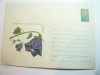 Plic ilustrat- Flora - Clopotei cod 103/74 , necirculat