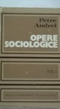 Petre Andrei - Opere sociologice, vol. I, 1973