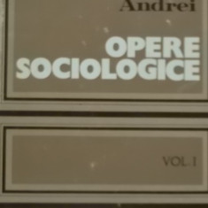 Petre Andrei - Opere sociologice, vol. I