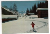 DAVOS ELVETIA SCHIOR