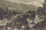 707 - Carte postala ilustrata Sinaia circulata,perfecta stare, Fotografie