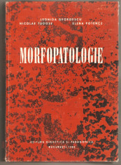 Morfopatologie-Leonida Georgescu foto
