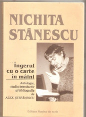 Nichita Stanescu-Ingerul cu o carte in maini foto