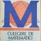 CULEGERE DE MATEMATICI PENTRU ADMITEREA LICEU - Silviu Stossel