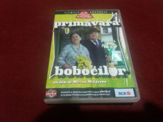 DVD PRIMAVARA BOBOCILOR foto