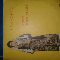 SET Discuri vinil,ELENA IONESCU,2 Discuri vinil Ion DOLANESCU,Transport posta