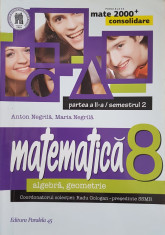 MATEMATICA ALGEBRA GEOMETRIE CLASA VIII-A CONSOLIDARE - Negrila (2 volume) foto