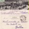 Salutari din Romania-Salina Ocnele Mari (Valcea) -clasica, TCV