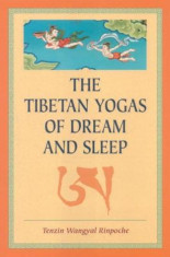 The Tibetan Yogas of Dream and Sleep, Paperback foto