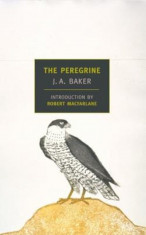 The Peregrine, Paperback foto