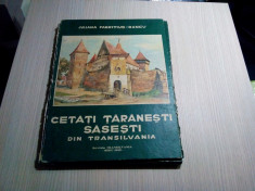 CETATI TARANESTI SASESTI DIN TRANSILVANIA -- Juliana Fabritius-Dancu - 1980 foto